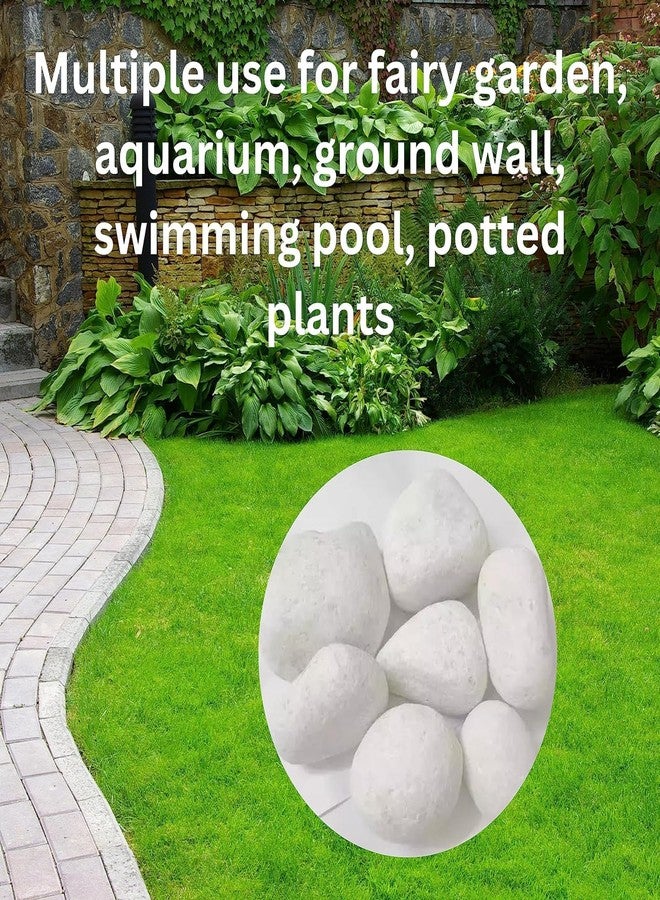 Maalavya Pebbles for |Garden & Home Décor|Aquarium|Vase fillers|Table| Etc (White 30 to 90 MM, Unpolished 5 Kg) - Image 4